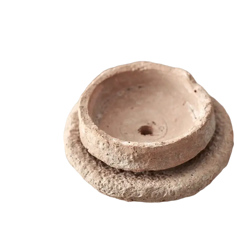 Rustic terracotta handmade ceramic flower pot with tray featuring textured earthy finish and central drainage hole for green plant
