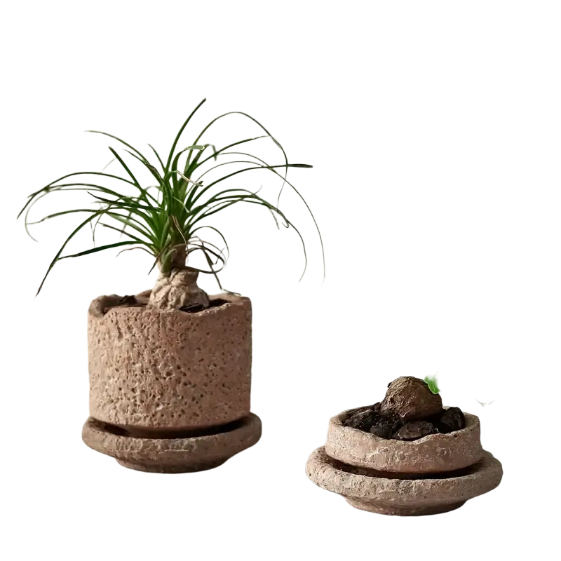Rustic terracotta ceramic flower pot with textured porous surface and matching saucer ideal for green plant display
