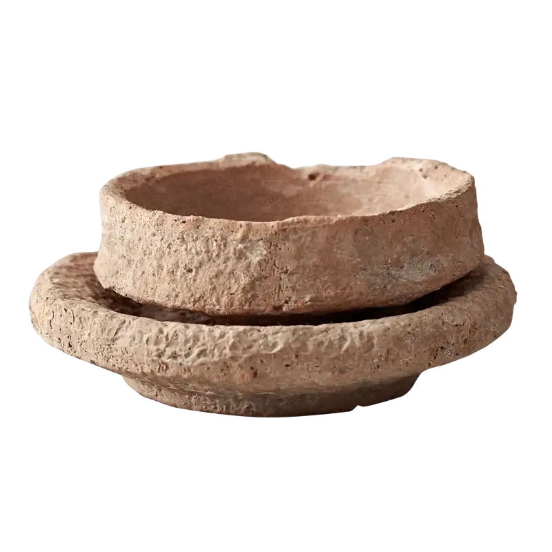 Rustic handmade ceramic flower pot with textured terracotta finish and matching saucer for green plant display