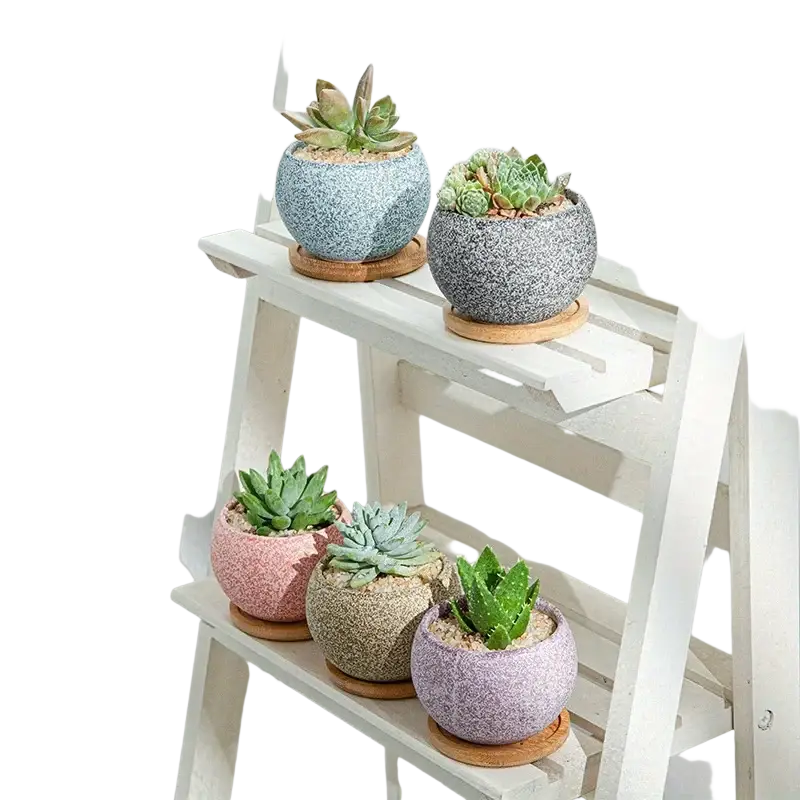 Colorful speckled ceramic planters with wooden saucers designed for succulents