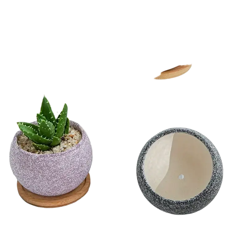 Pink speckled ceramic spherical planter with wooden saucer containing a green succulent for decorative use