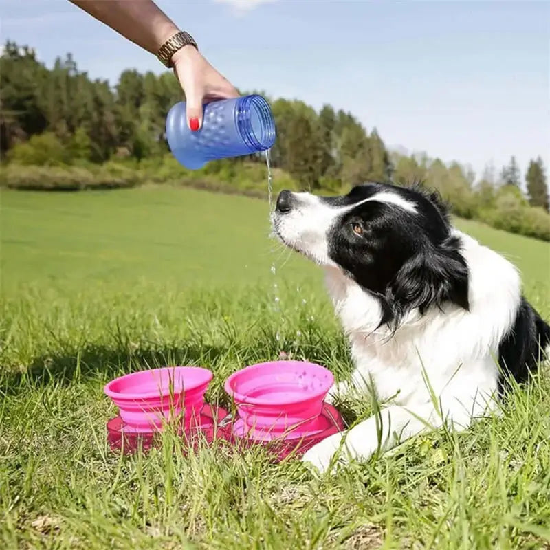 blue translucent plastic water bottle with textured surface from the collapsible dog bowl double silicone travel set designed for convenient pet hydration.