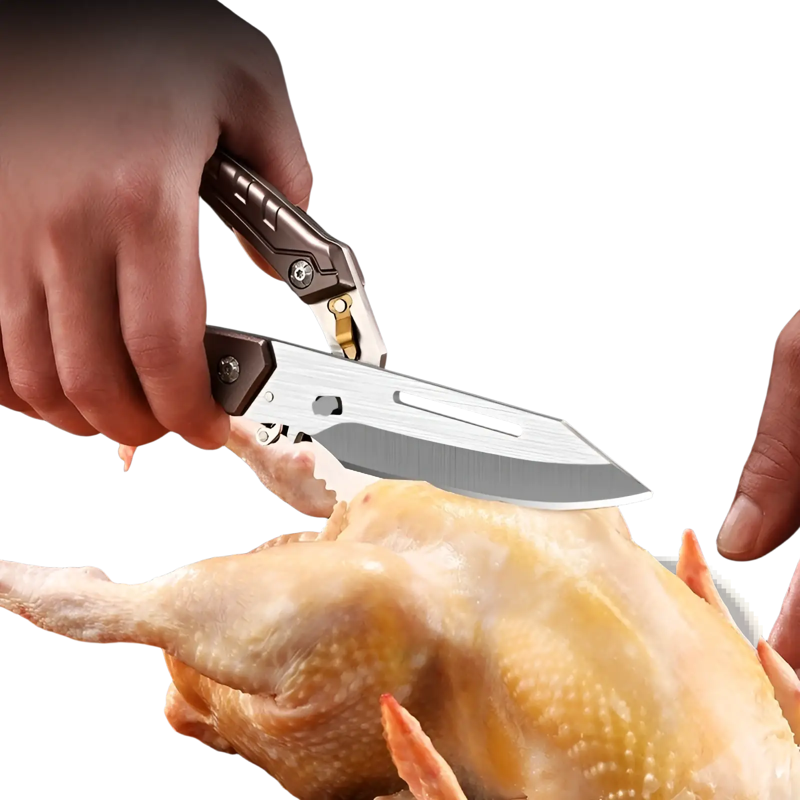 A sleek silver-bladed chicken bone scissors with a black and gold textured handle cutting chicken