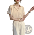 Beige chiffon blouse with short sleeves v neck collar and subtle sheen suitable for summer wear