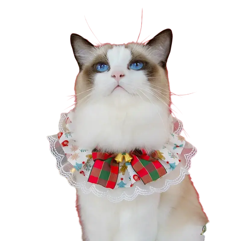 Christmas dog collar with red and green plaid bow, white lace trim, and small gold bells for festive wear