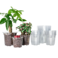 Clear plastic plastic planters with drainage holes 30 pack featuring ribbed base and smooth sides holding small plants