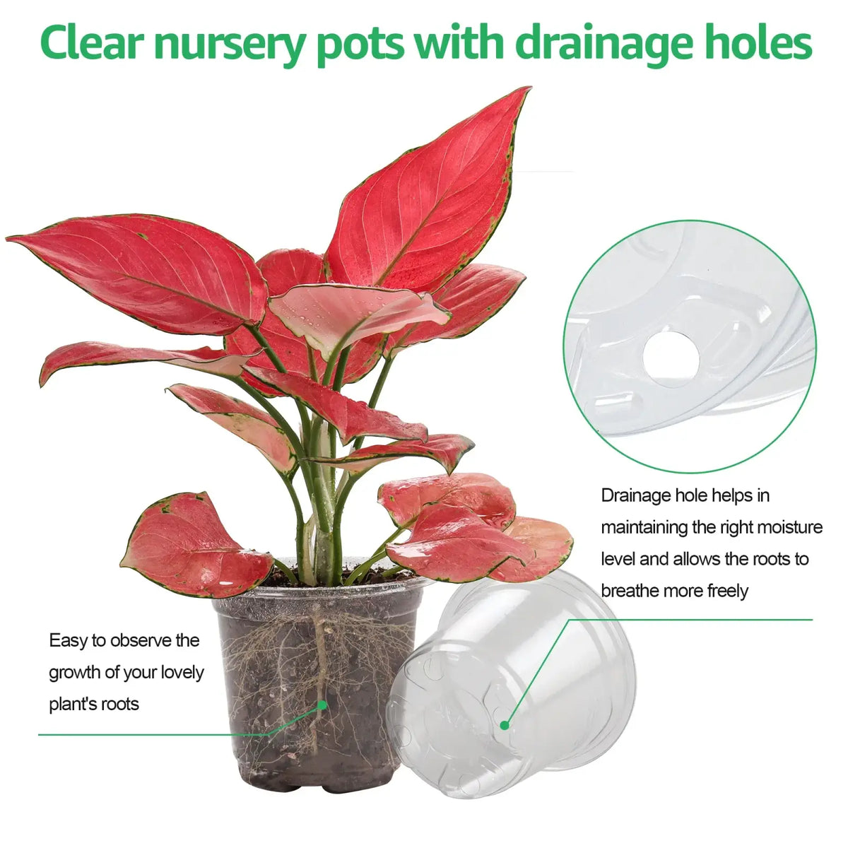 Clear plastic planter 30 pack with drainage holes made of durable plastic for optimal nursery use