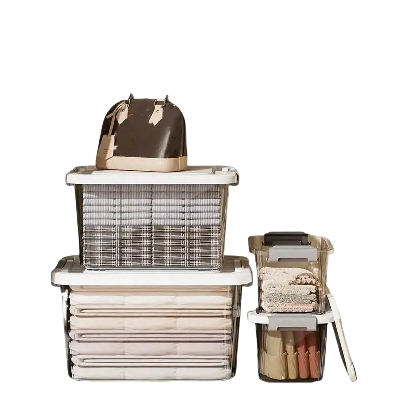 A large size approximately clear plastic storage box with lid and latches holds a brown and beige leather handbag with metallic hardware
