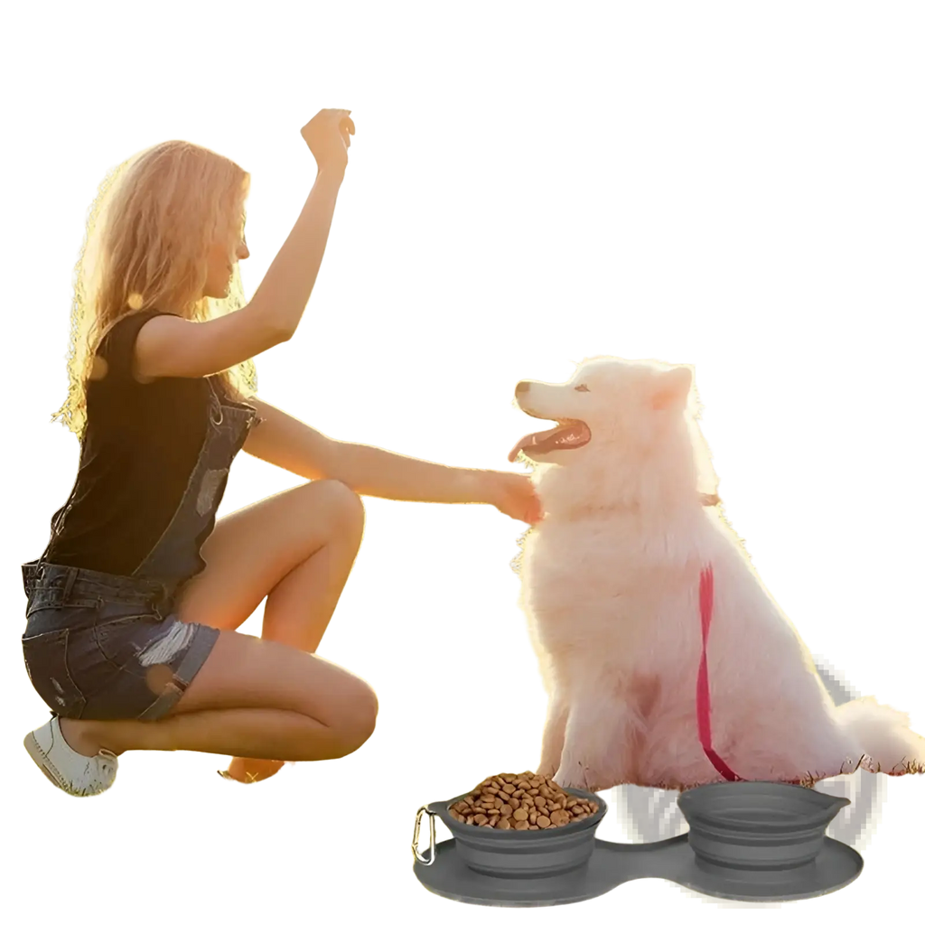 Gray thickened tpe folding silicone pet bowl with two compartments for travel in collapsible dog bowl double silicone set