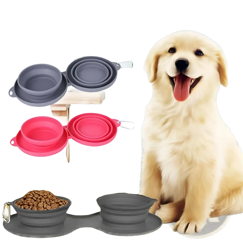 Collapsible dog bowl double silicone travel set with gray and pink bowls and metal carabiner clips for easy carrying