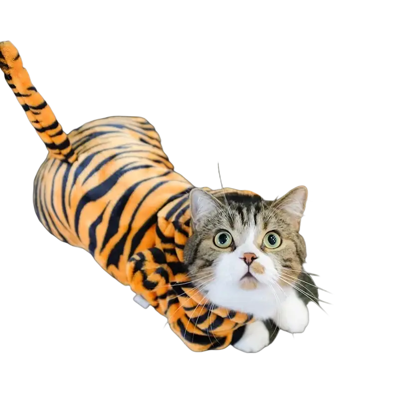 A fluffy tabby cat wearing coral fleece pet clothing in orange and black tiger stripes for medium-sized dogs