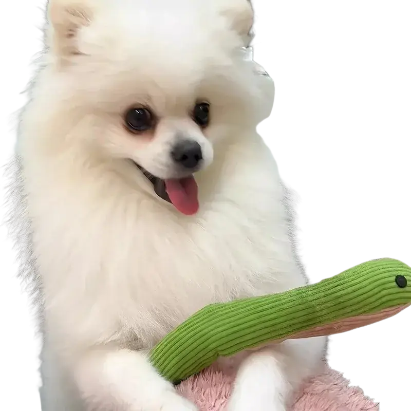 Fluffy white pomeranian holding a green corduroy snake dog toy plush pet toy with black eyes and pink interior