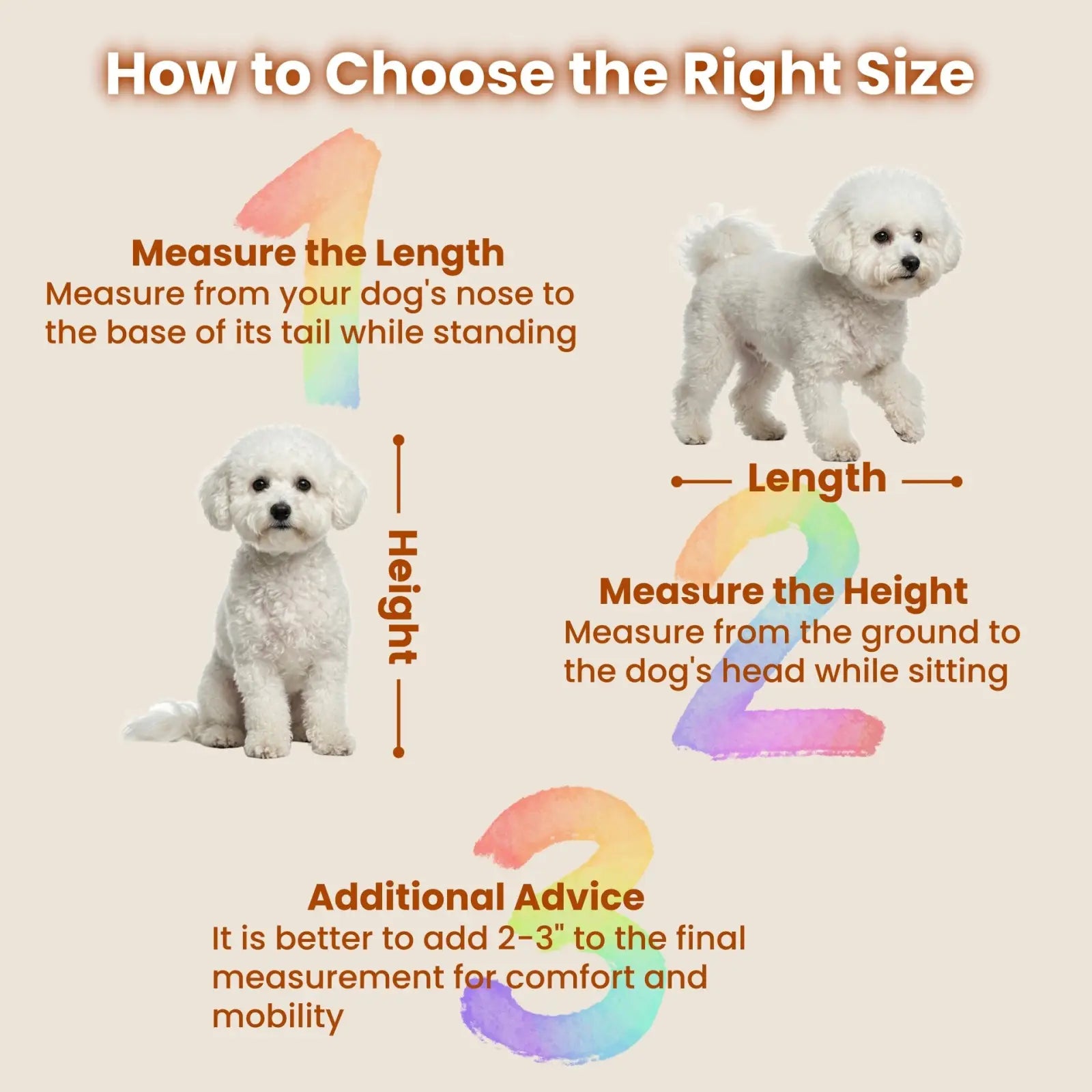 White fluffy bichon frise dogs with curly fur near a corner dog crate furniture with fluted storage drawer
