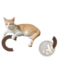 Brown curved corrugated cat scratcher made of textured wooden material with a modern sleek design pad