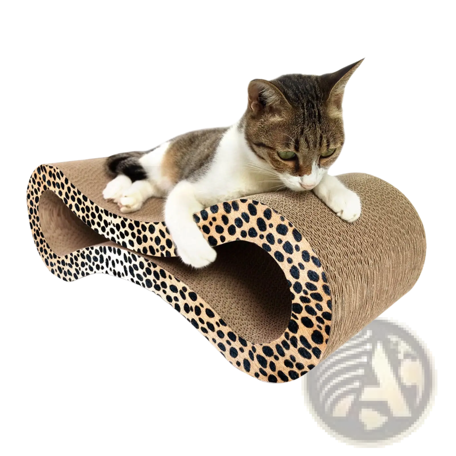Leopard-print corrugated cardboard cat scratcher with curved tunnel design for modern pet use