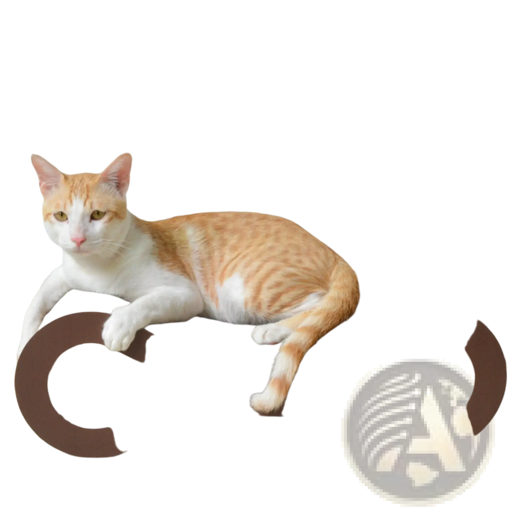 Brown curved corrugated cat scratcher with textured wooden surface and modern sleek design for cats