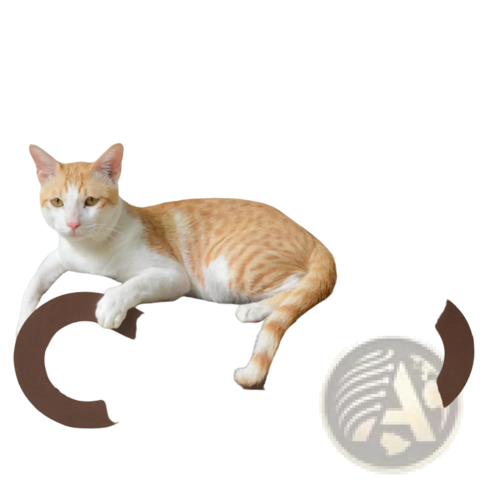Brown curved corrugated cat scratcher with textured wooden surface and modern sleek design for cats