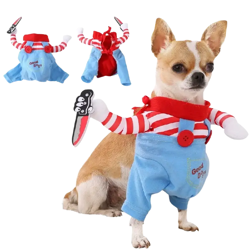 A chihuahua wearing a blue and red striped chucky cosplay costume with white gloves and knife for small medium dogs cats