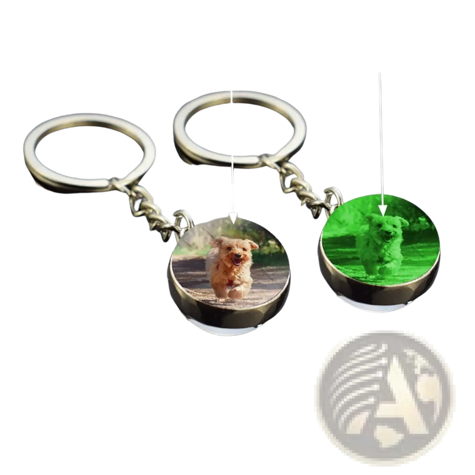 Custom glow photo keychain with a tan dog image in normal and luminous green glow-in-the-dark mode on round keyrings