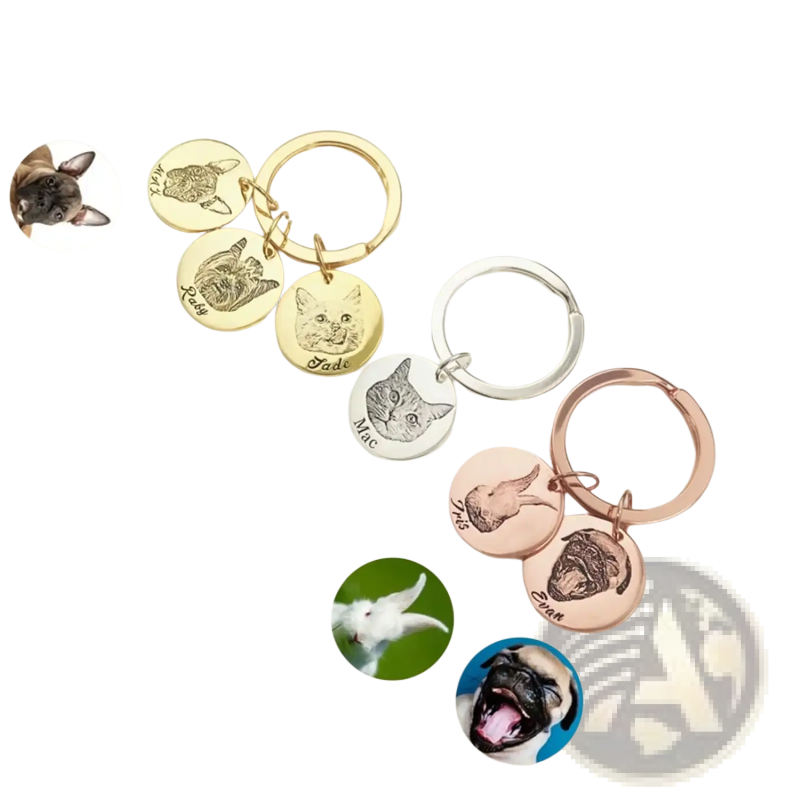 Custom personalized pet portrait keychains in gold silver and rose gold finishes with engraved animal faces