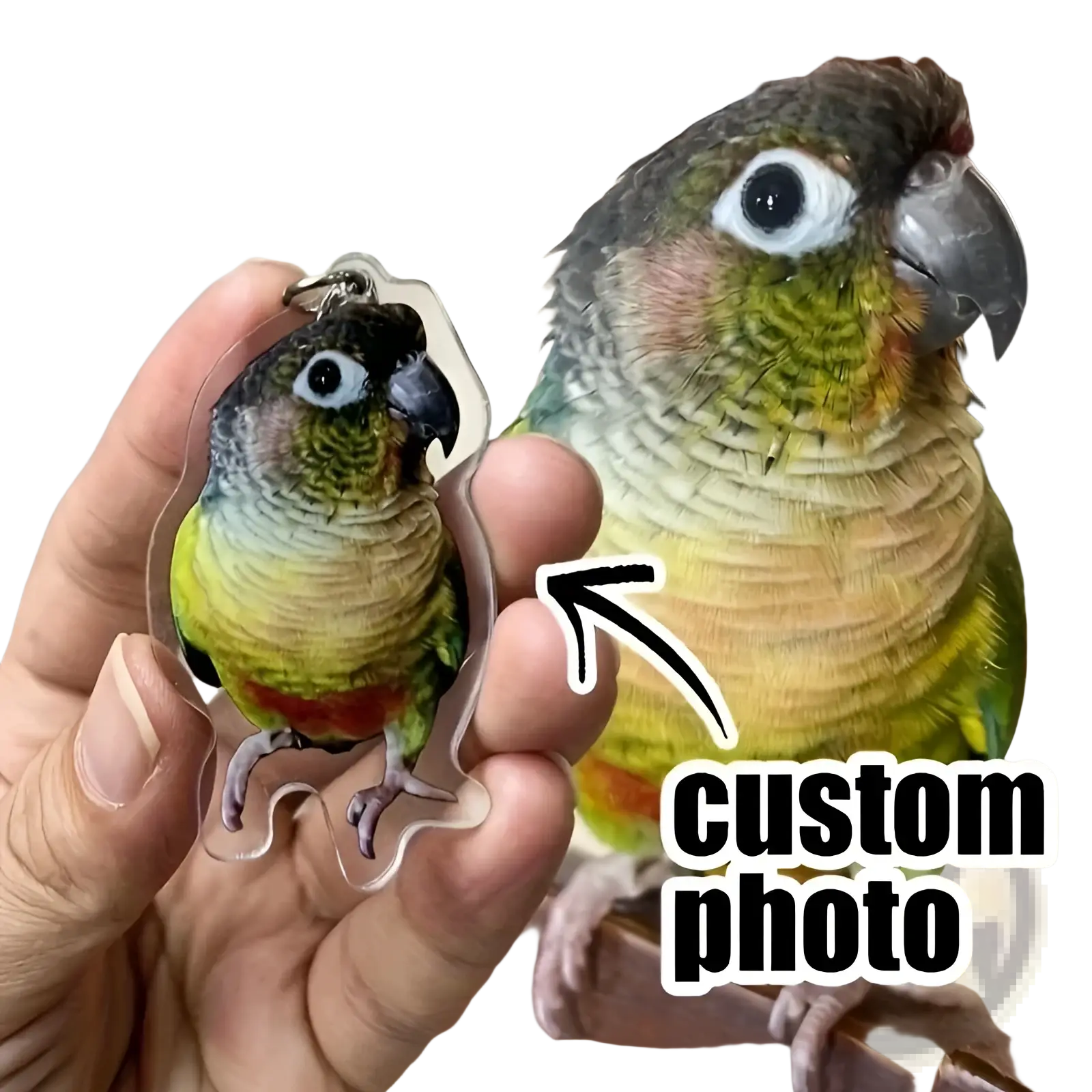 Clear acrylic keychain with detailed colorful parrot design in green yellow black and red for memorial gift