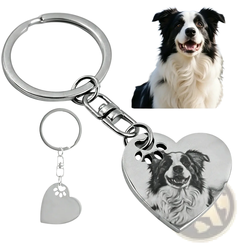 Silver stainless steel heart keychain with engraved border collie portrait and paw print cutouts for pet lovers