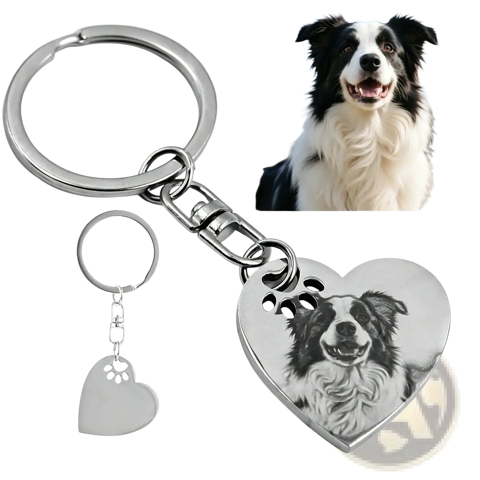 Silver stainless steel heart keychain with engraved border collie portrait and paw print cutouts for pet lovers
