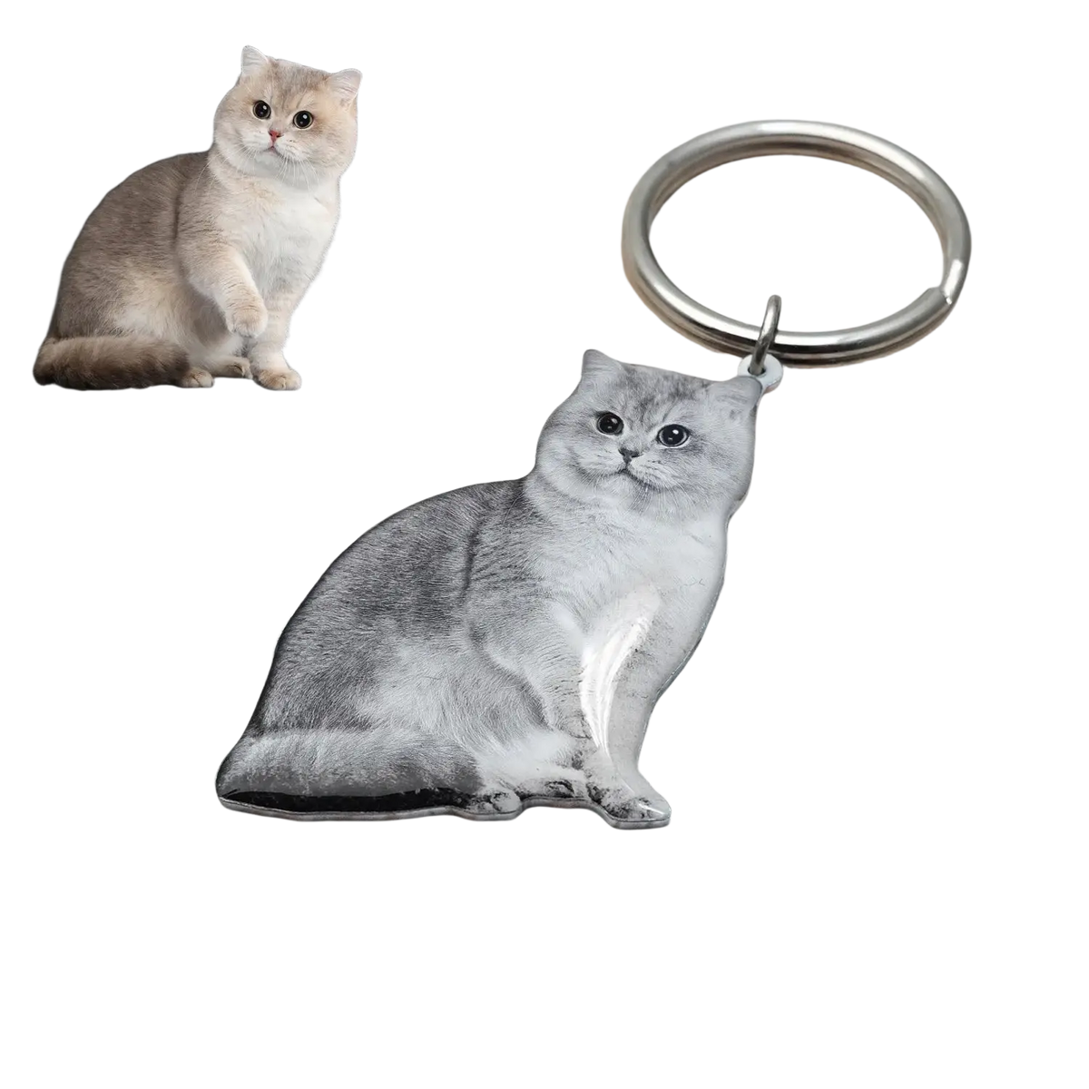 Silver metallic custom photo keychain shaped like a sitting cat with detailed fur texture and expressive eyes
