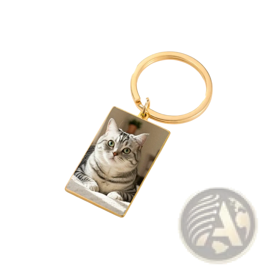 Gold-toned custom photo rectangle keychain with stainless steel ring featuring american shorthair cat silver tabby markings