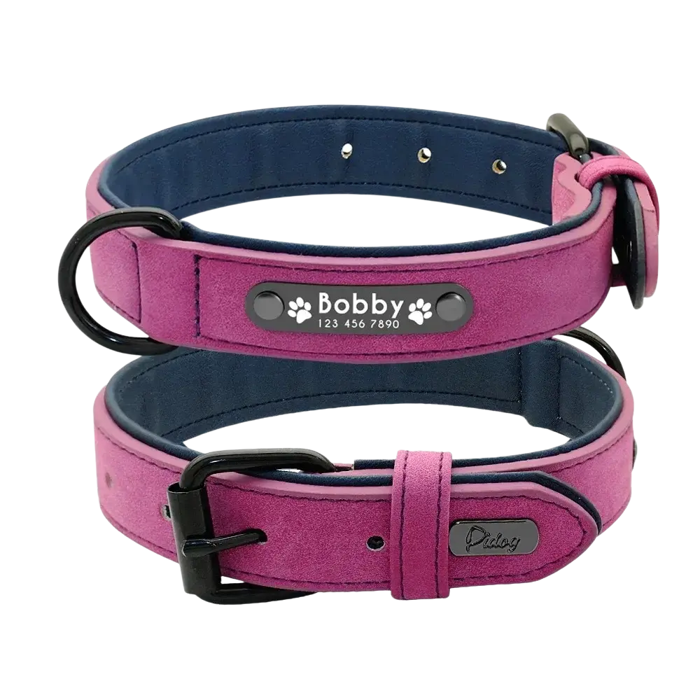 Customized leather dog collar in pink and navy blue suede with black hardware and engraved nameplate for bobby