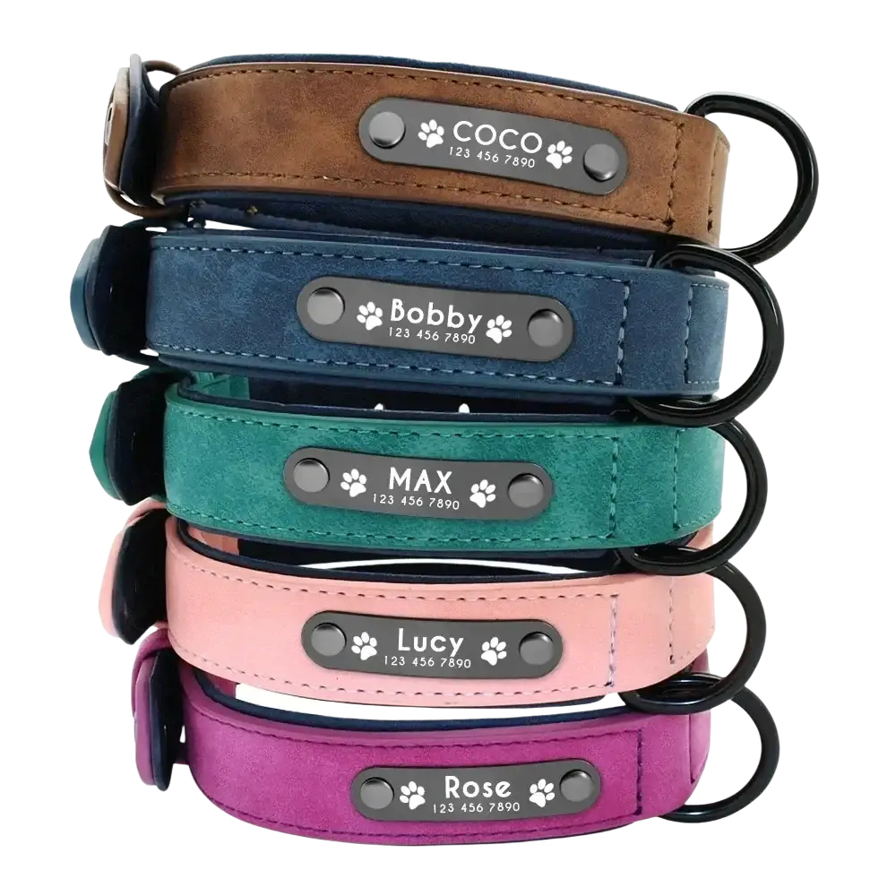 Customized leather dog collars in suede fabric with engraved metal nameplates featuring paw prints and pet names