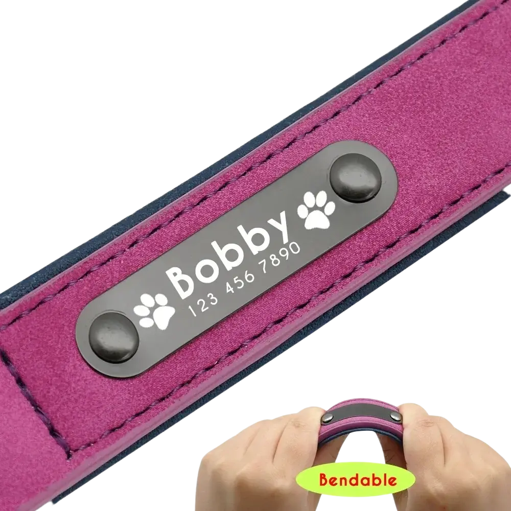 Customized leather dog collar in magenta and black with personalized metal nameplate showing customization information