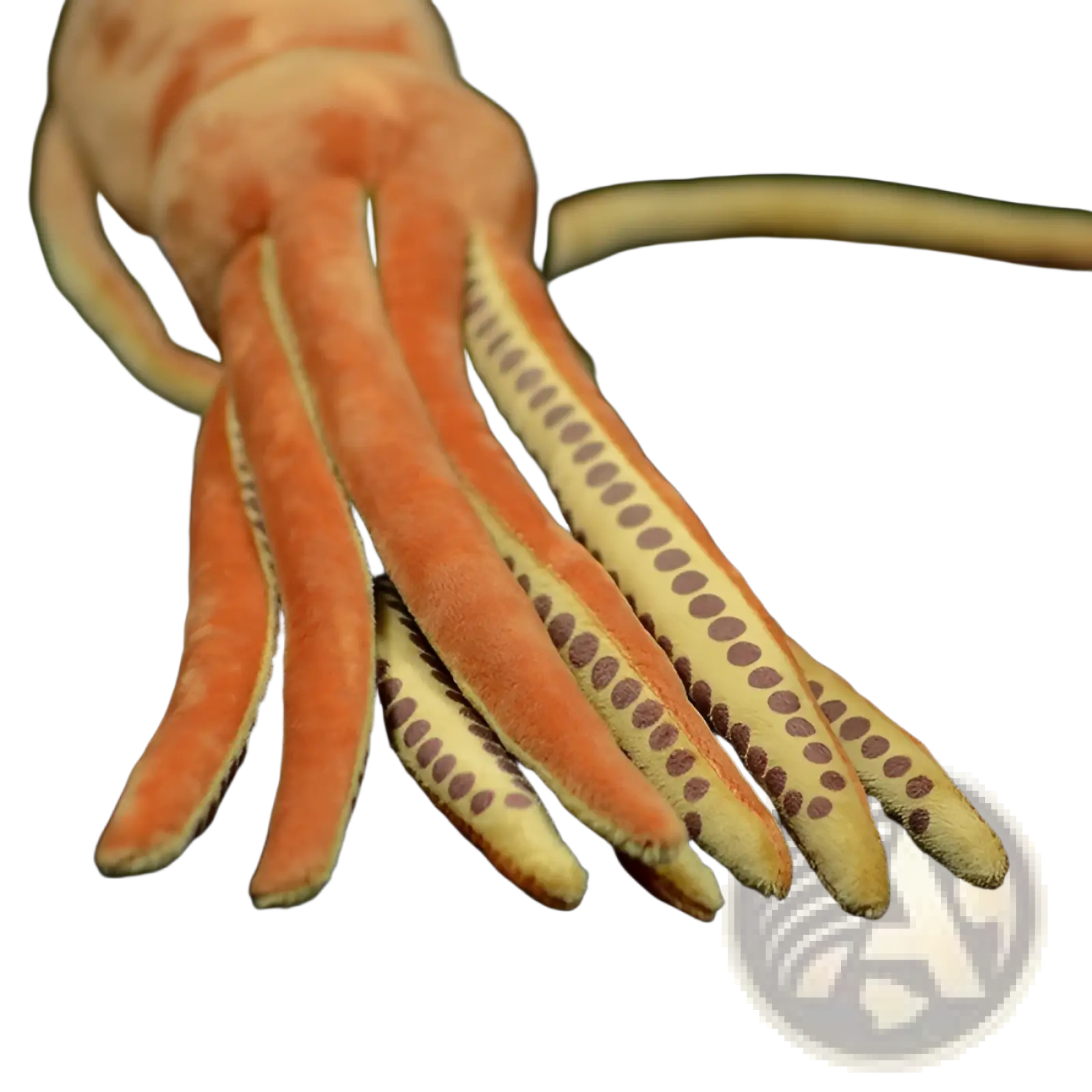 Cuttlefish plush stuffed animal toy 32cm with orange and beige tentacles featuring brown dotted patterns