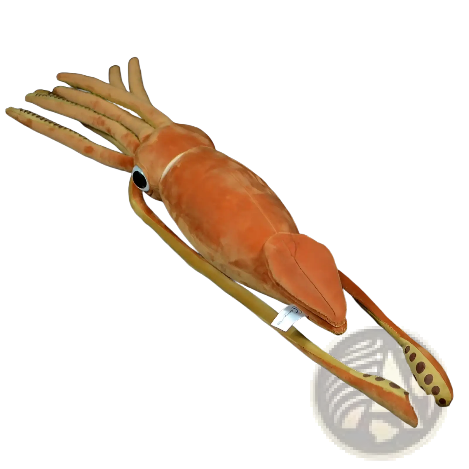 A plush orange cuttlefish stuffed animal toy with long tentacles and a white tag attached measuring 32cm