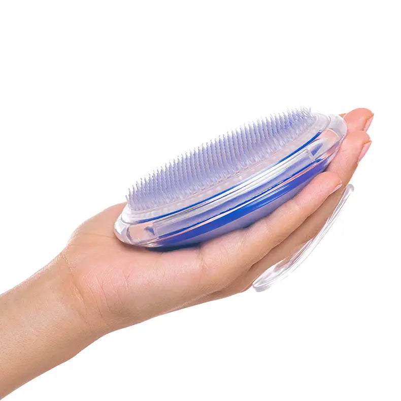 Oval-shaped scalp massage brush exfoliating hair meridian comb with transparent plastic body, blue accents, and a dense array of soft bristles.