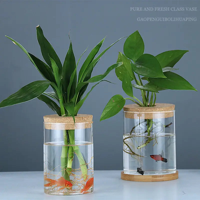 hydroponic glass vases with cork lids and bamboo bases each containing a different green plant in water