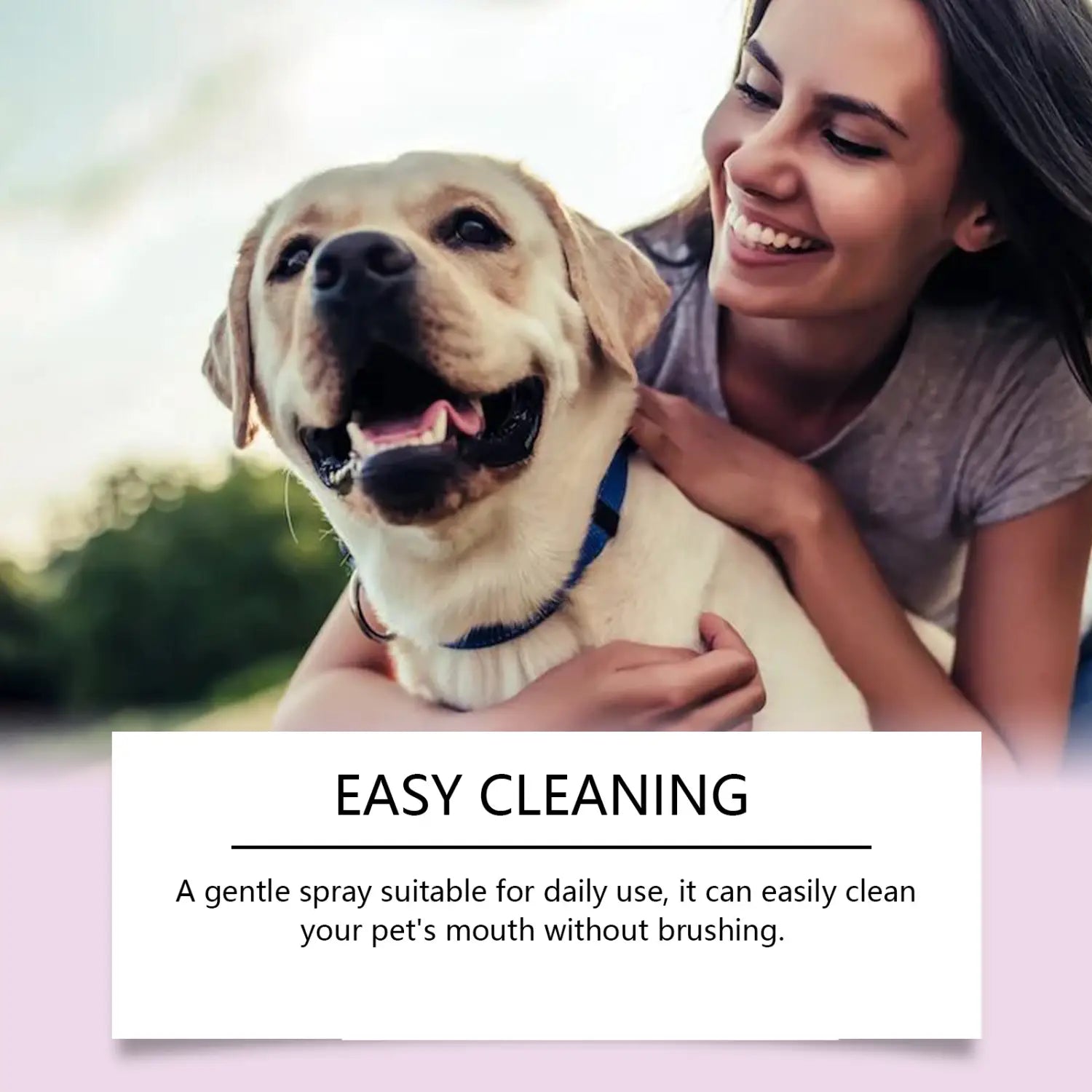 Collier bleu sur un labrador jaune, faisant la promotion du spray dentaire buccal pour animaux de compagnie, pour l’hygiène bucco-dentaire et le rafraîchissement de l’haleine.