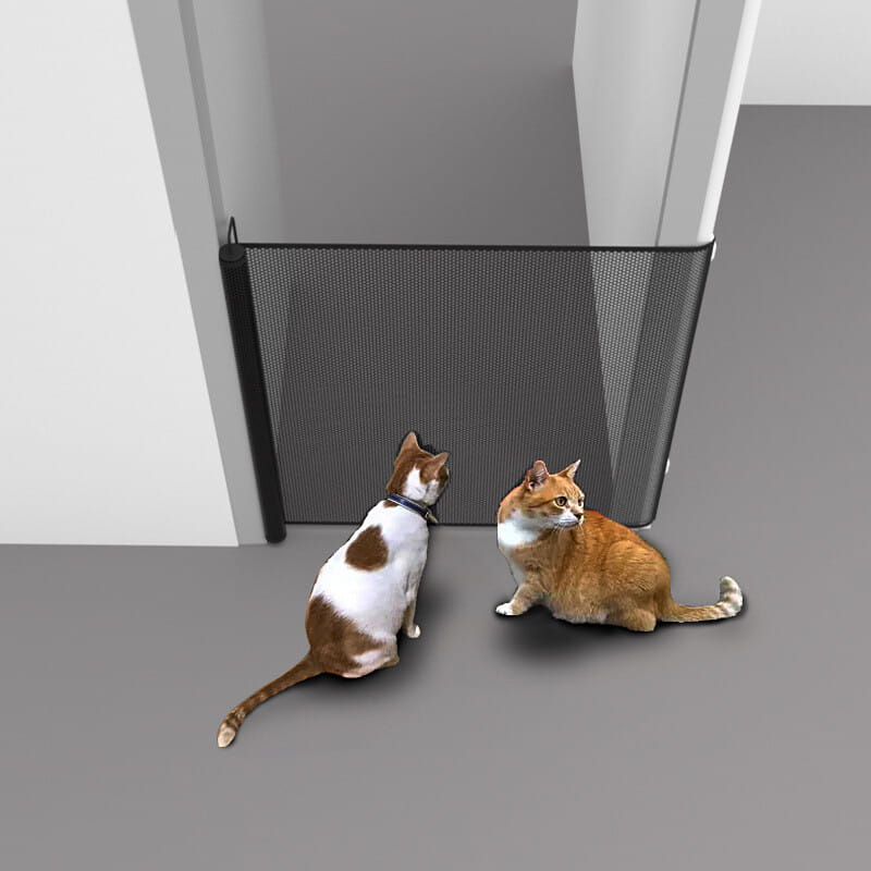 Portillon de sécurité rétractable en maille noire pour animaux de compagnie et tout-petits, avec bords renforcés et une boucle de suspension en partie supérieure, conçu pour les animaux de compagnie et les tout-petits