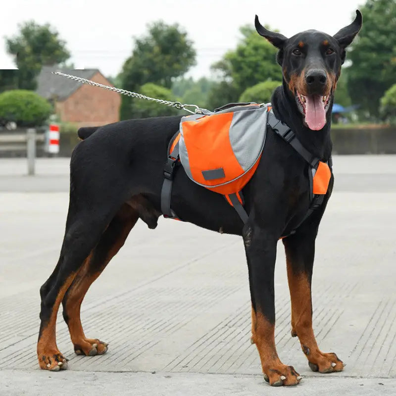 Bright orange and gray reflective dog backpack made of oxford cloth with black adjustable straps for pet hiking.