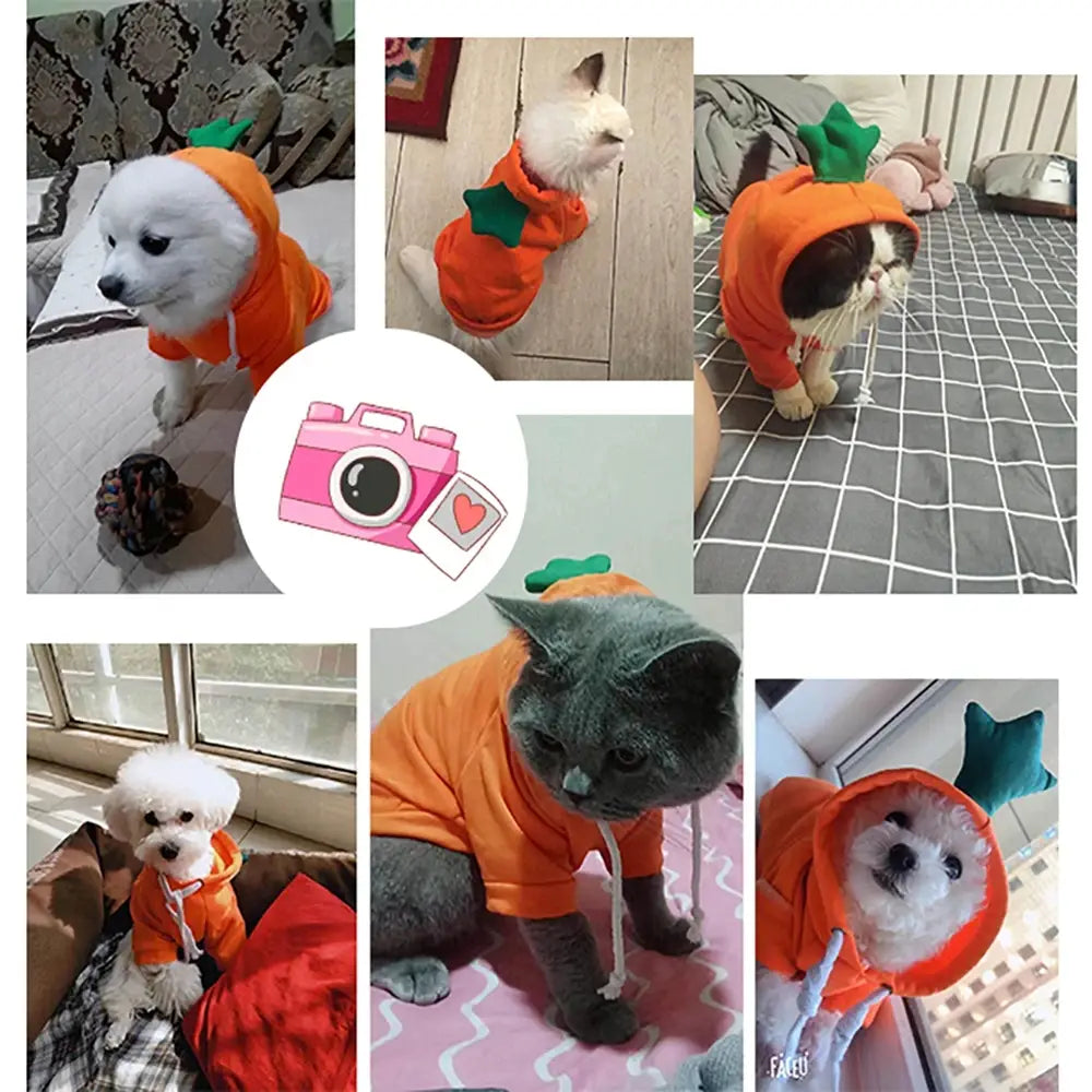 Sudadera con capucha de perro de fruta, abrigo de forro polar cálido para el invierno, ropa para cachorro