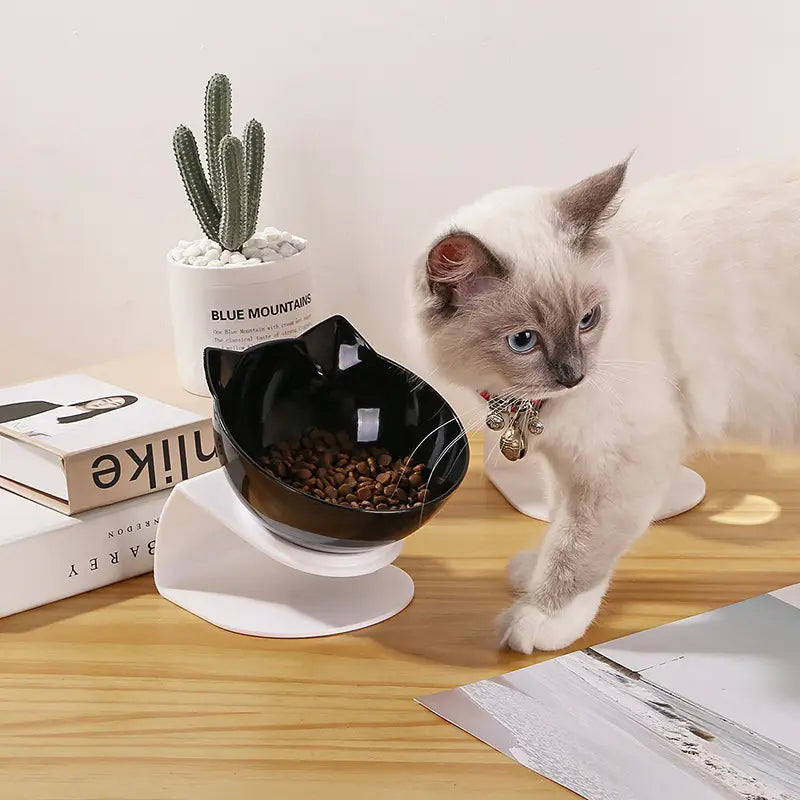 Black cat-shaped orthopedic pet bowl with glossy finish filled with kibble and resting on a white pedestal base designed for slanted neck protection.