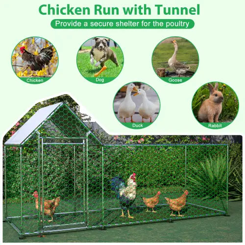 Green metal chicken coop run with tunnel for secure poultry shelter and habitat cage.