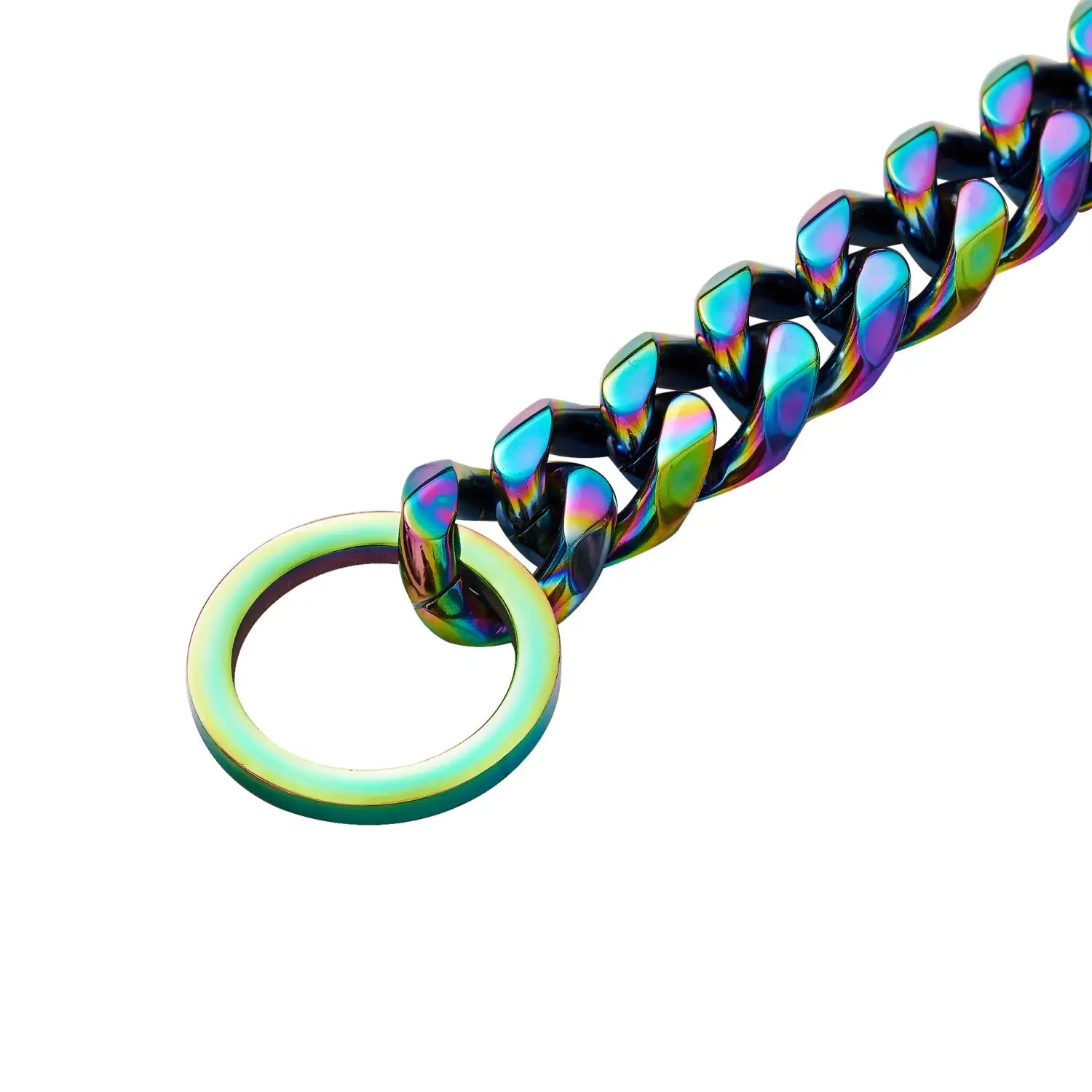 A sleek iridescent rainbow stainless steel dog chain collar featuring a bold rainbow-flecked finish and a matching circular ring.