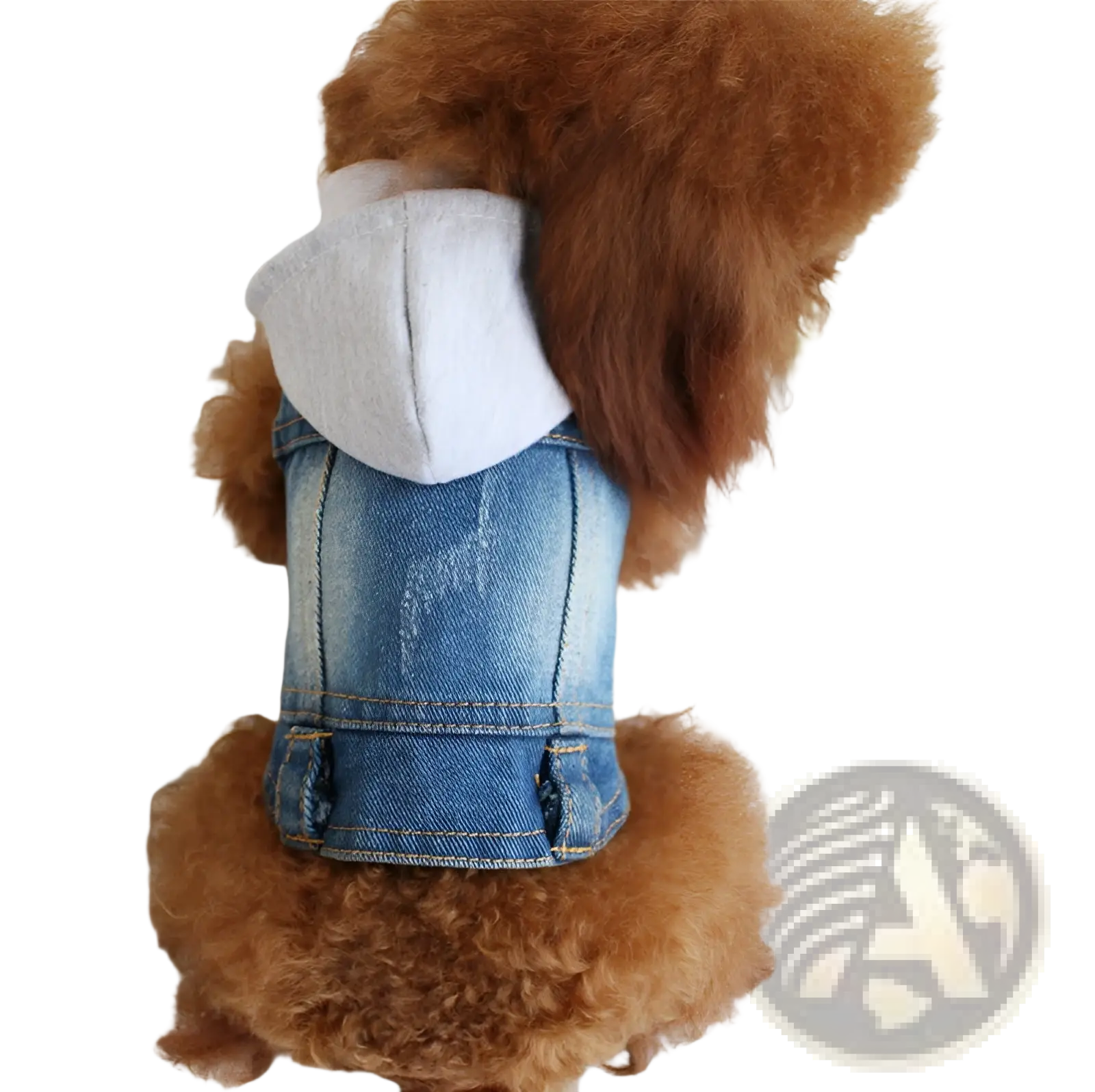 Blue denim dog hoodie with gray hood featuring strawberry embroidery on the back for puppy use