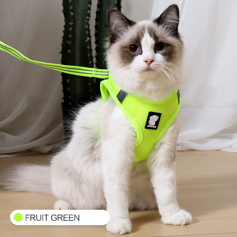 Fruit green mesh cat harness with black reflective patches and a small brand logo designed for anti strike pet walker use.