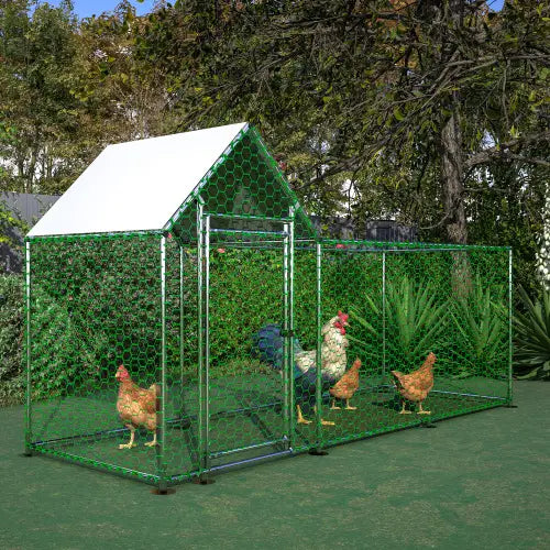 Green metal chicken coop run with white roof and wire mesh walls designed as a poultry habitat cage.