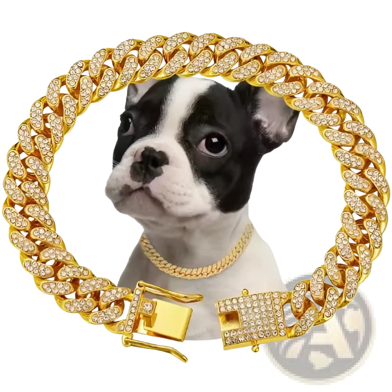Gold-colored diamond Cuban link dog collar with alloy rhinestones and matching buckle for stylish pet choker use