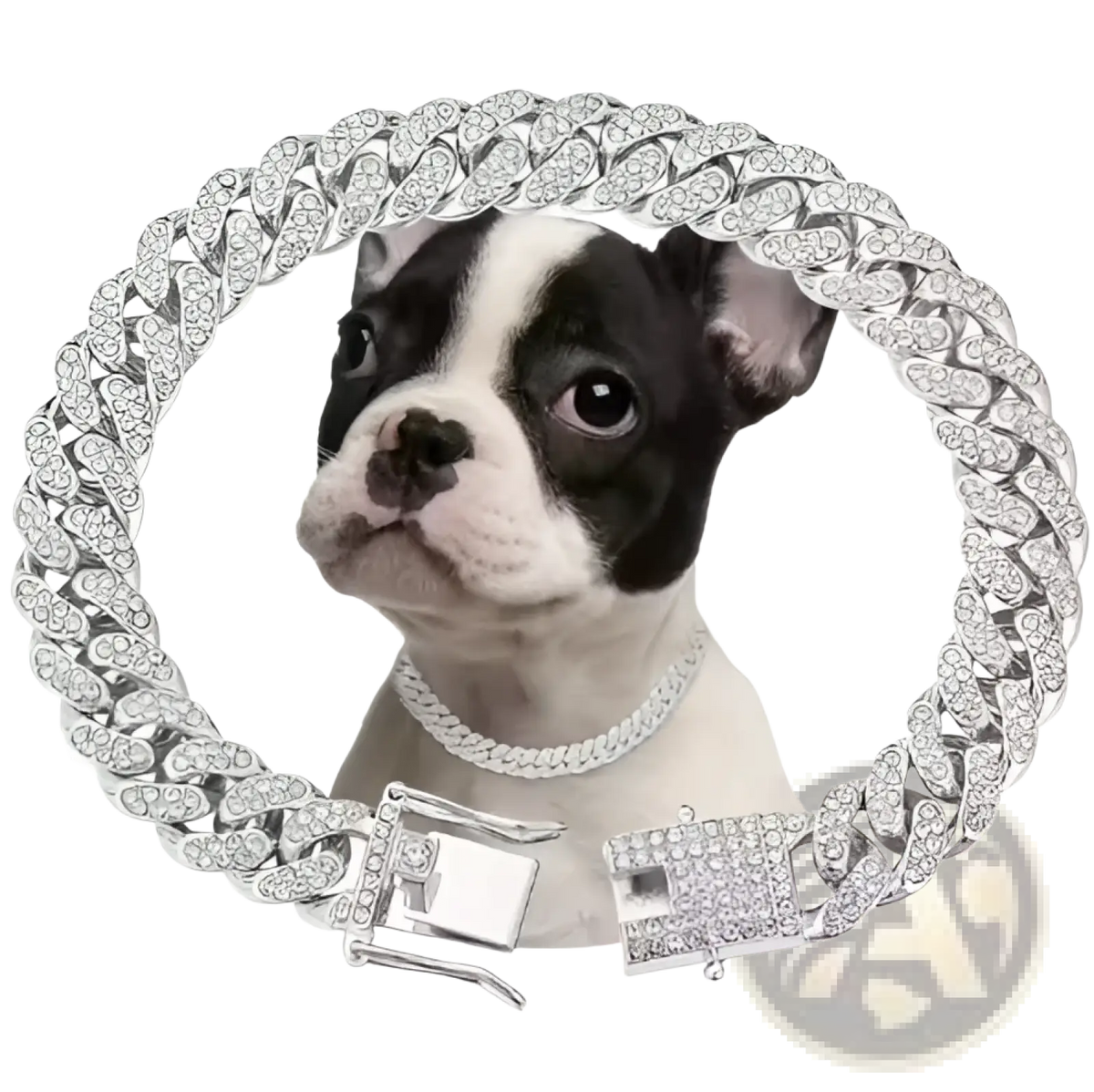A sparkling silver diamond cuban link dog collar with a heavy diamond-encrusted clasp and rhinestone links