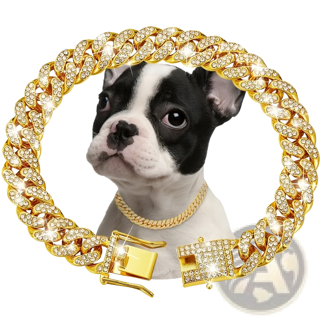 Diamond Cuban link dog collar necklace featuring a sparkling gold chain adorned with clear crystals and gold clasp