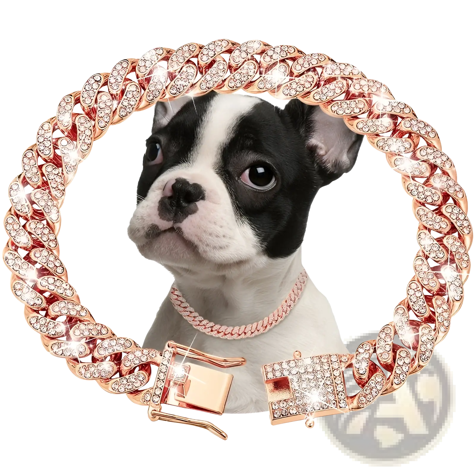 Rose gold diamond-encrusted cuban link dog collar necklace with matching buckle for luxury pet accessories